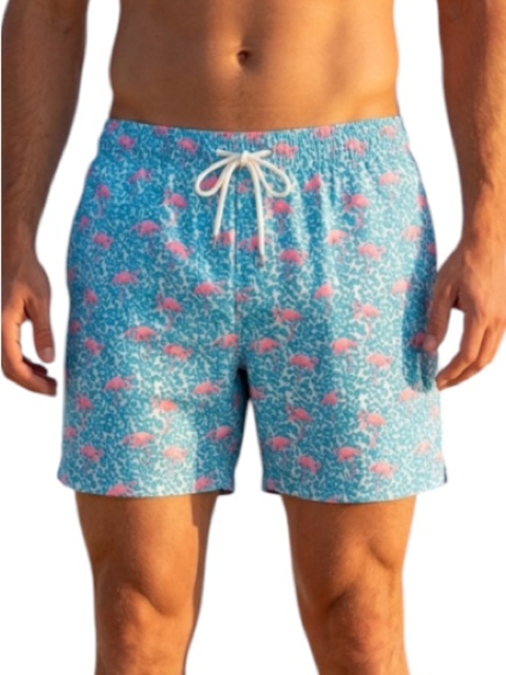 Chubbies 3XL Swim Trunks Pink Flamingo Blue Domingos Lined Mesh Shorts Men 3X
HH